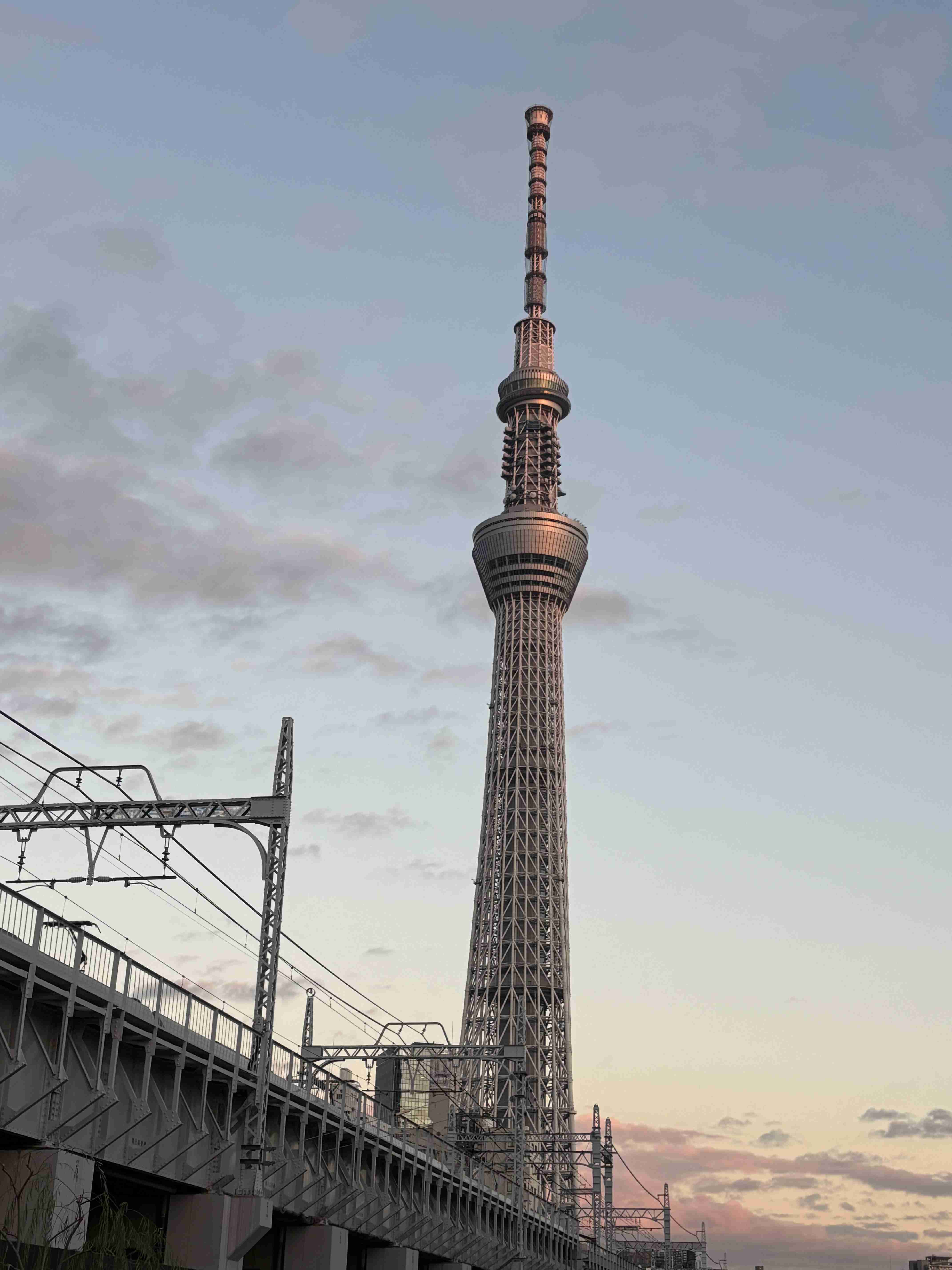 身の回りにある美しいもの