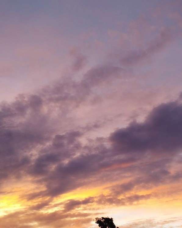 身の回りにある美しいもの