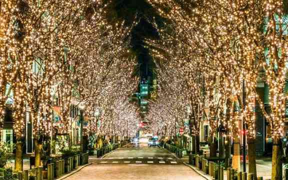 身の回りにある美しいもの