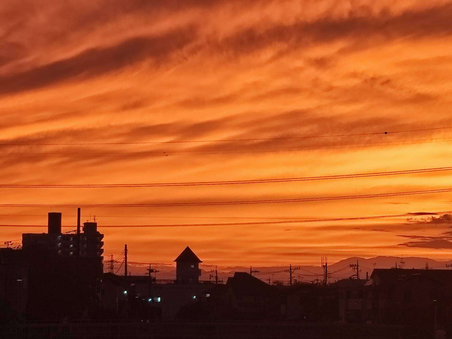 身の回りにある美しいもの