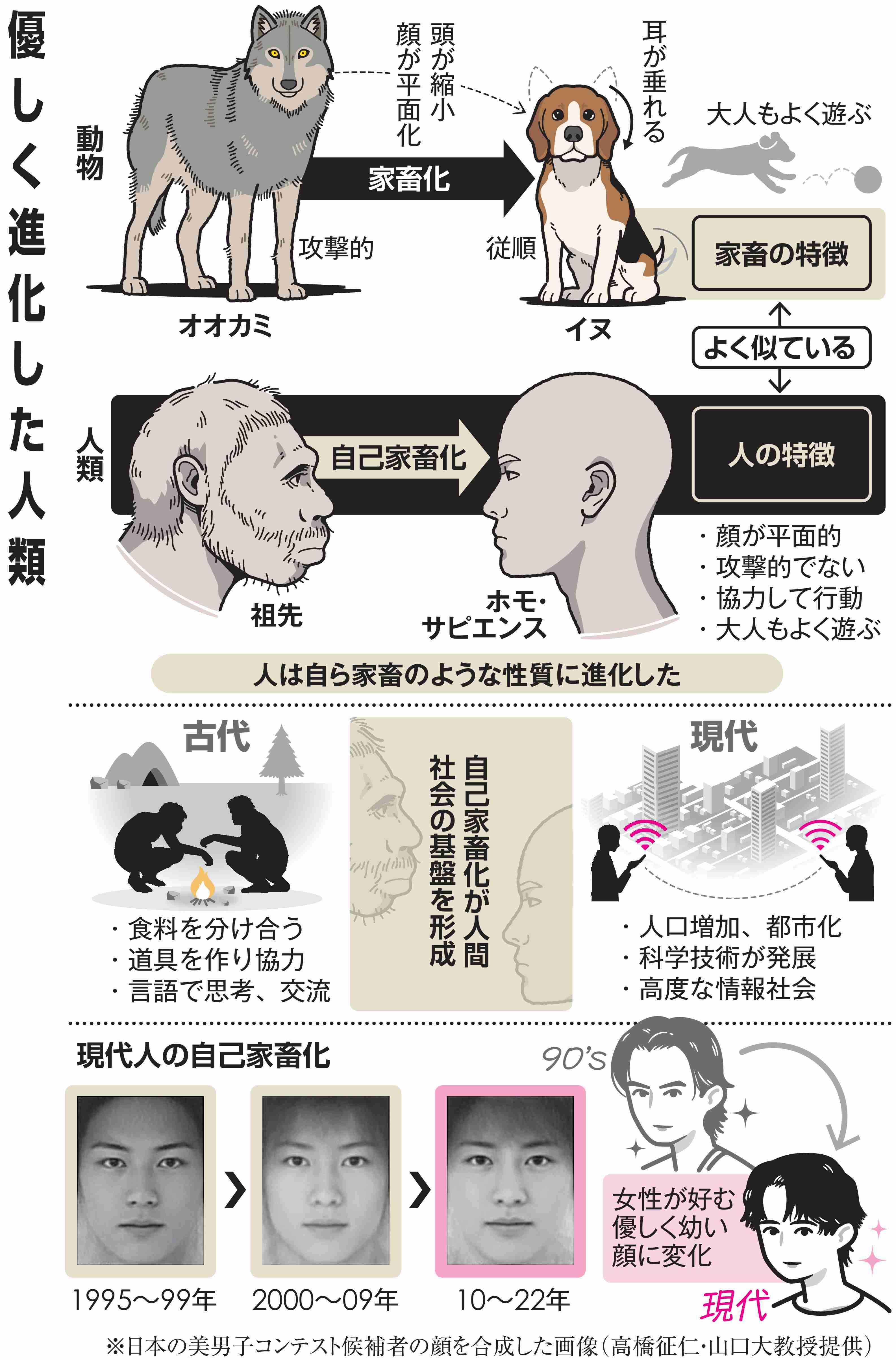 今時の娘って細すぎませんか？