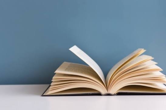 架空の本のタイトルを書くと秒で読んだ感想が返ってくるトピ