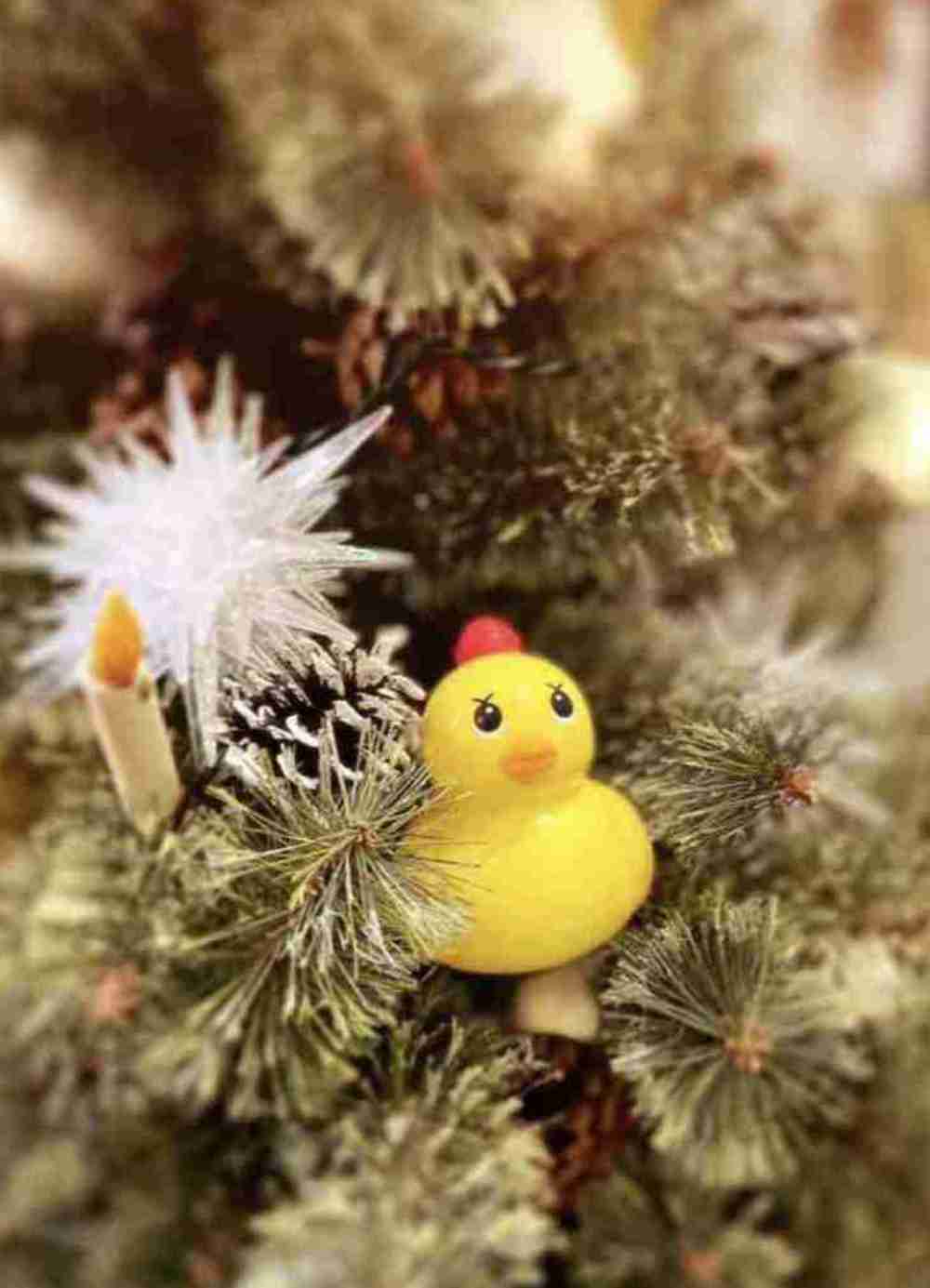 【ドラマ/映画】「美しい彼」を語ろう　Part38