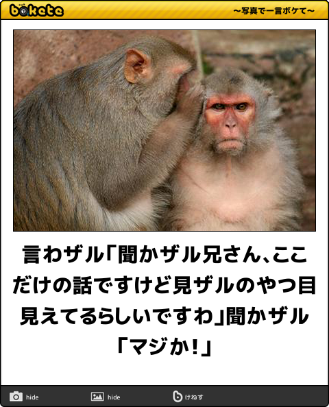 【2025年】boketeの貼り納めトピ