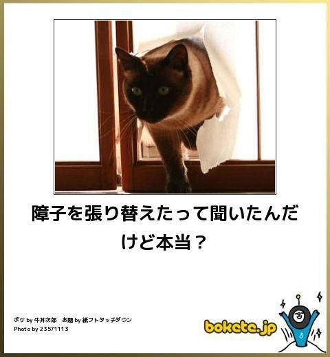 【2025年】boketeの貼り納めトピ