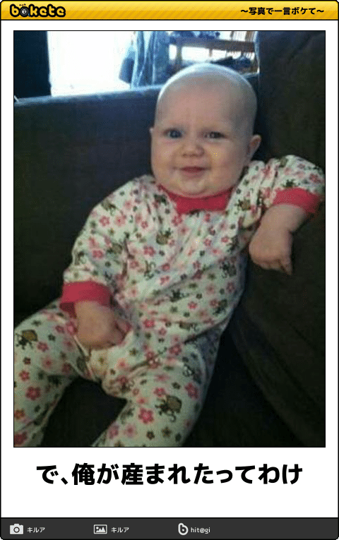 【2025年】boketeの貼り納めトピ