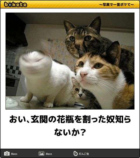 【2025年】boketeの貼り納めトピ