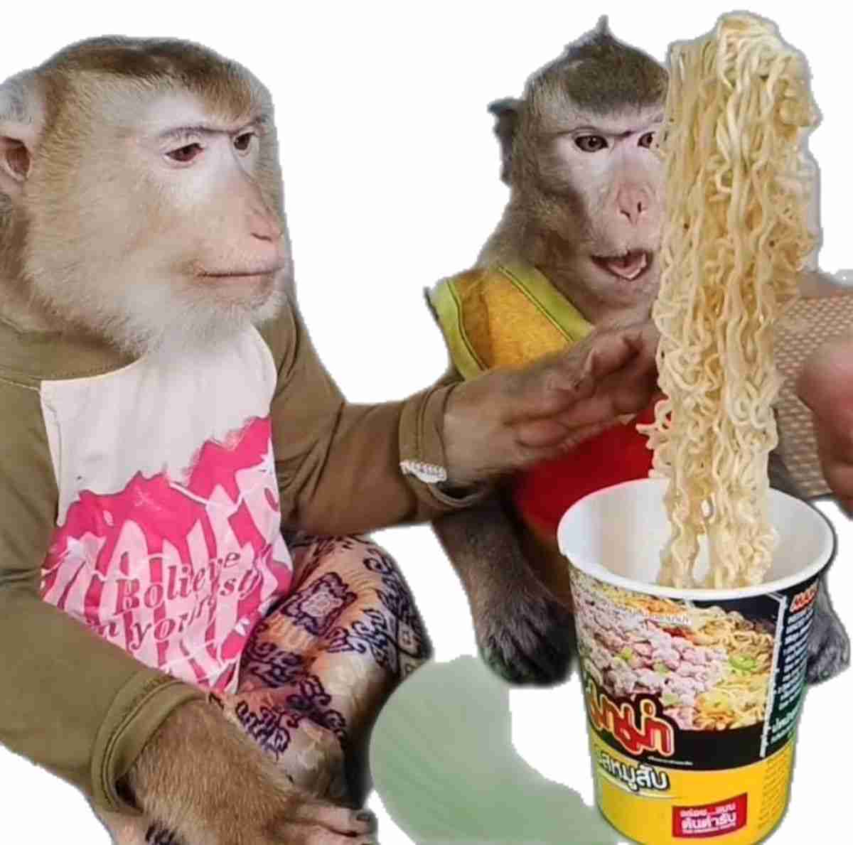 動物をモチーフにした雑貨が見たい