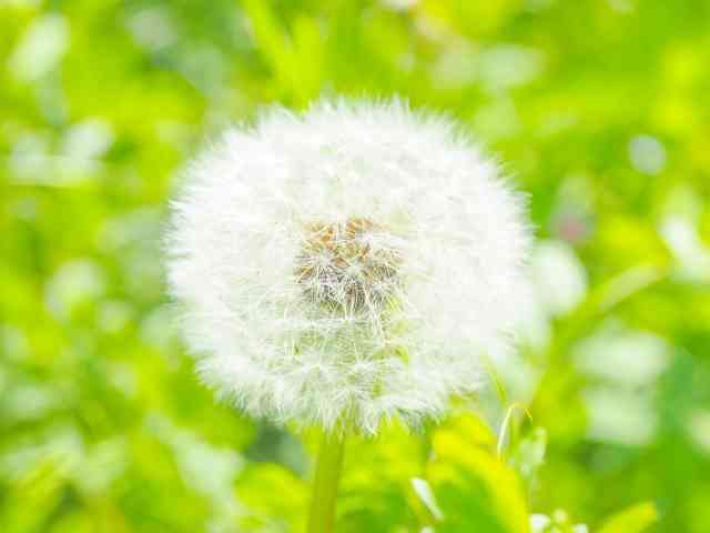 一番辛かった検査