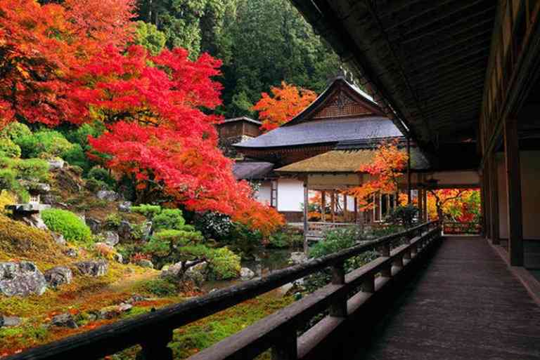 京都の好きな寺社仏閣ベスト３