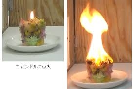 アロマキャンドル使ってる人