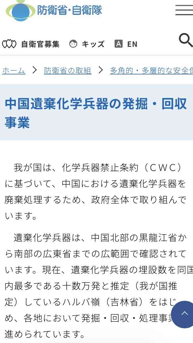 マイナ免許証