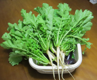 野菜の捨てるところを限界まで活用しよう!