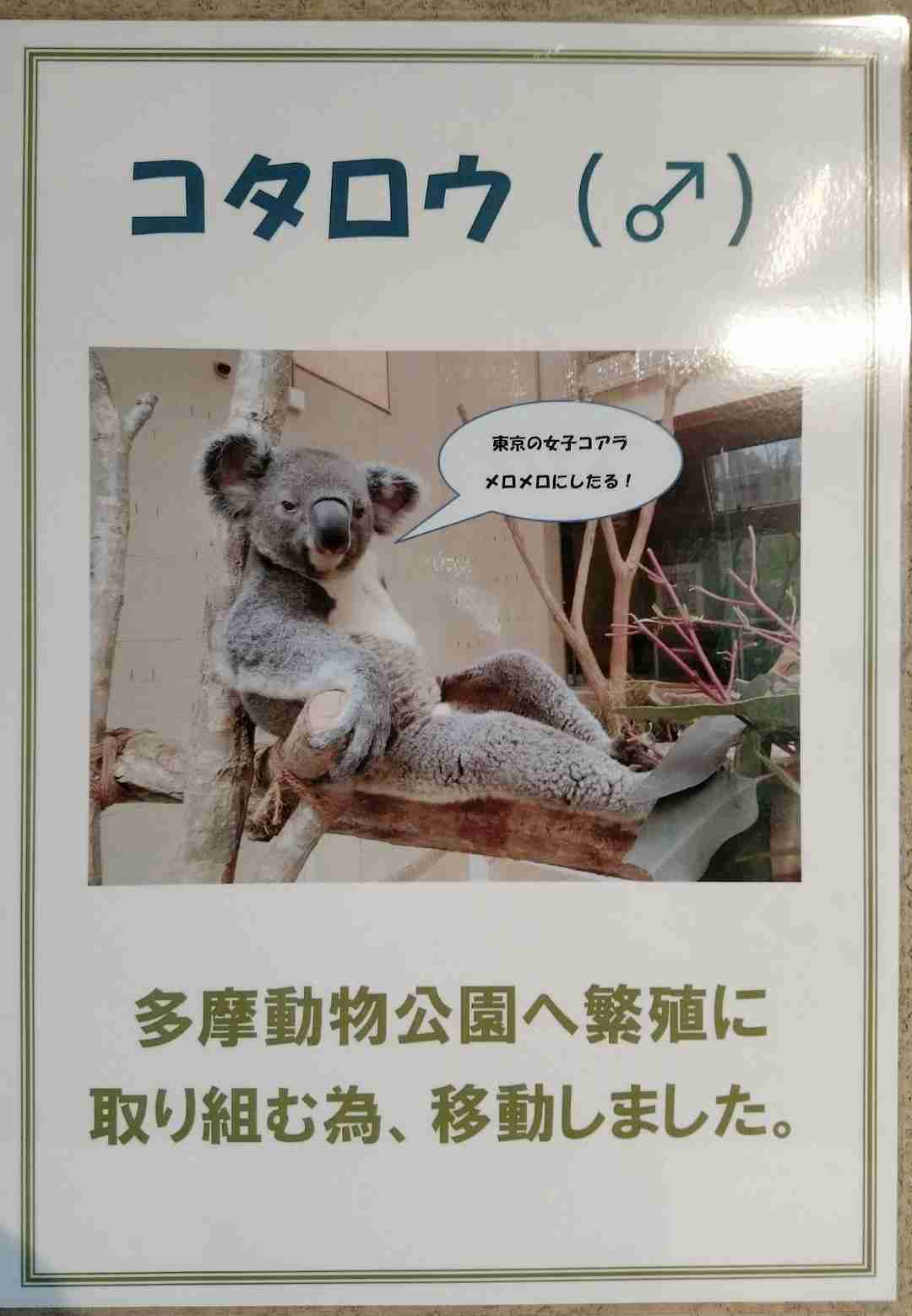 【動物でホストクラブ番外編】今年もお疲れだったね!のトピ