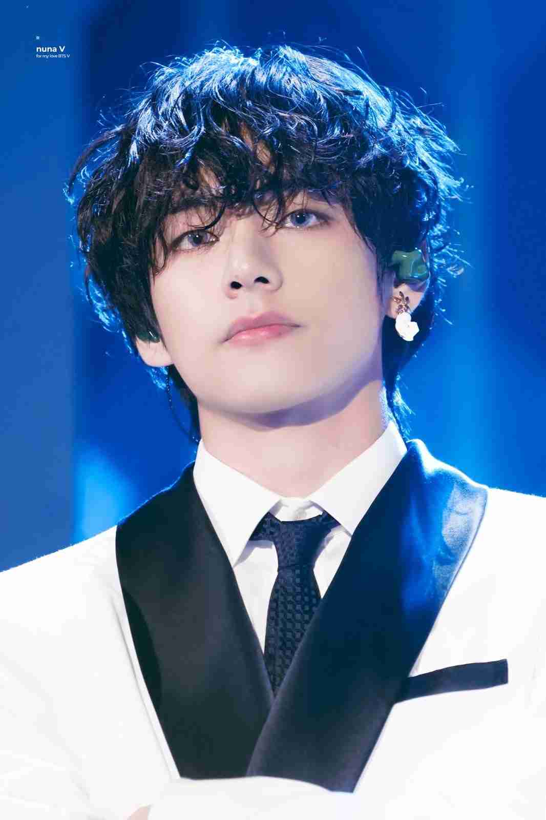 華のある芸能人と言えば