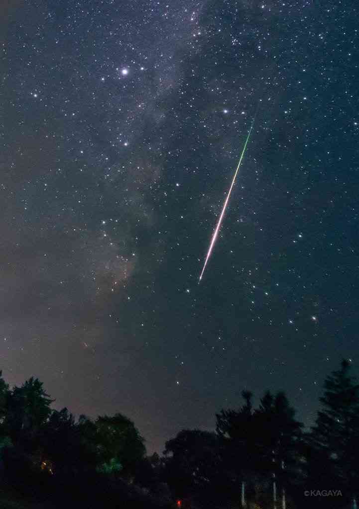 来世はいらない人