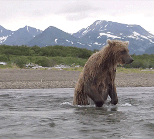 50年後の日本はどうなっているか予想するトピ