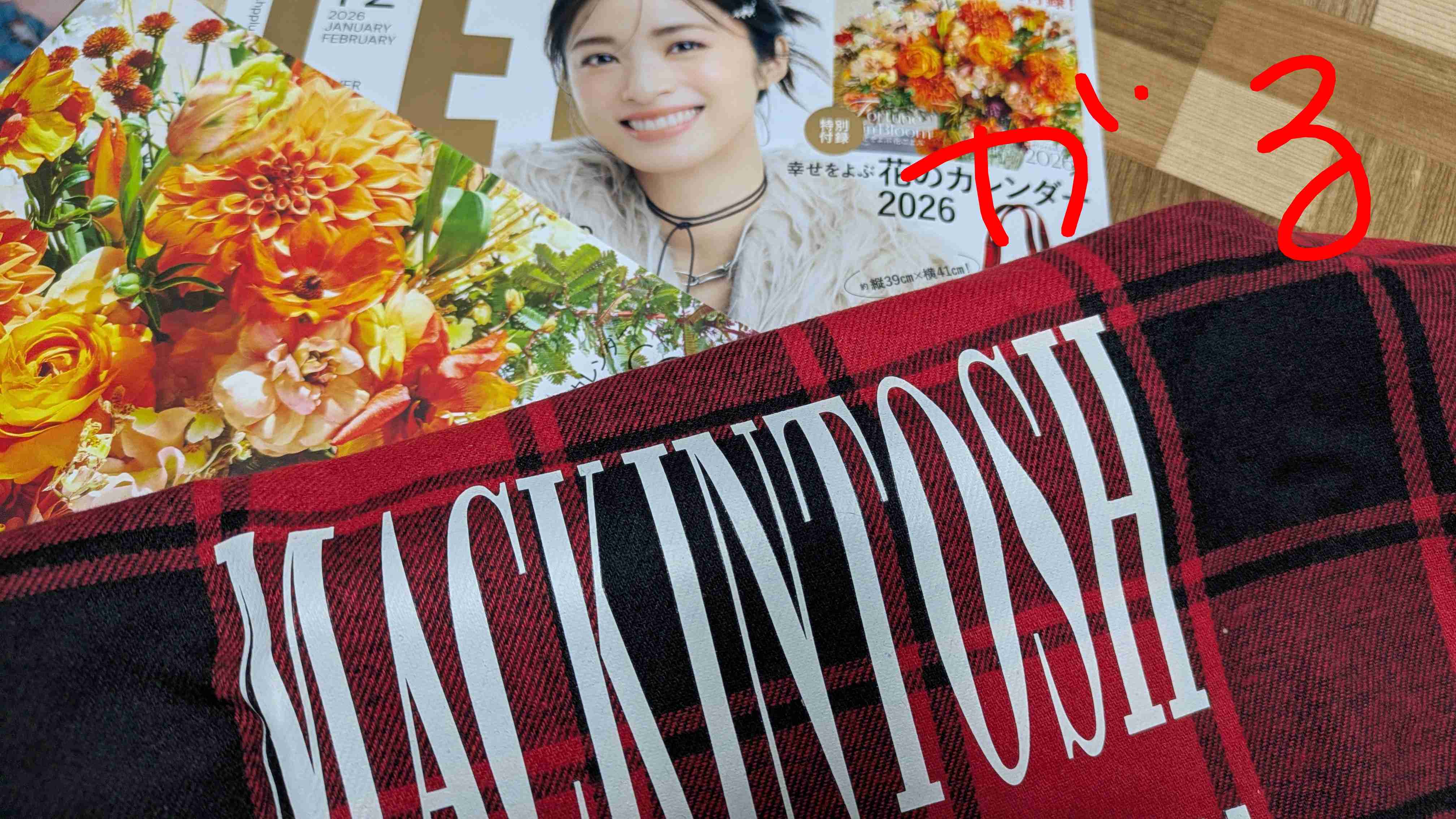 【定期トピ】雑誌付録1、2月号
