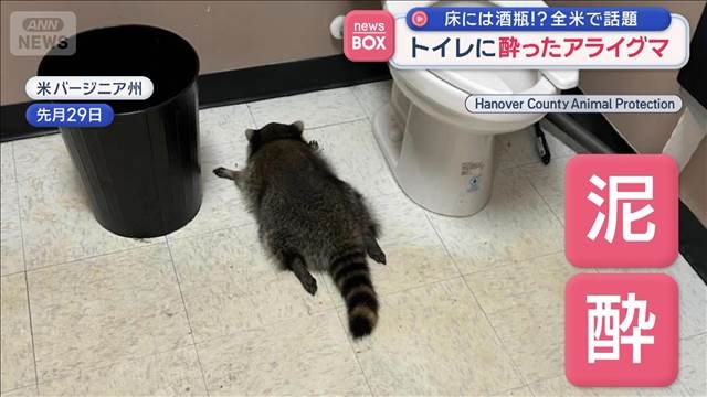 深夜、自宅の浴室に現れた「まさかの生物」に目を疑う 「怖すぎて目が覚めた」「実際はこの大きさでも…」