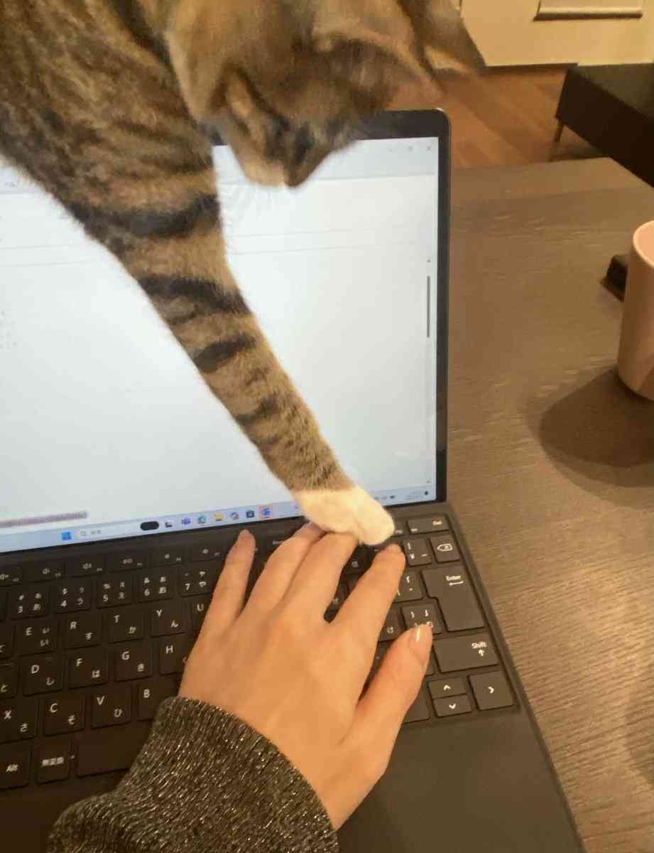 「いわゆる“ネコハラ”の痕跡でしょうか」 江戸時代の公式日記に残されていた猫のいたずらが話題 「いつの時代もにゃんこは最強」