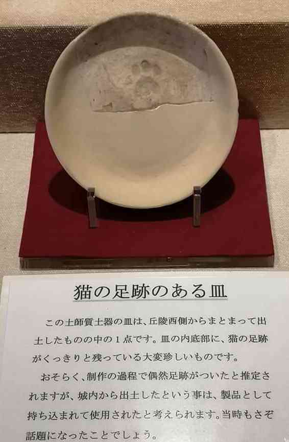 「いわゆる“ネコハラ”の痕跡でしょうか」 江戸時代の公式日記に残されていた猫のいたずらが話題 「いつの時代もにゃんこは最強」