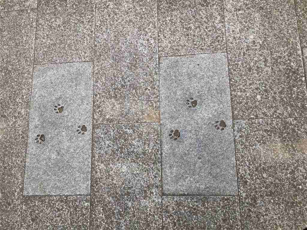 「いわゆる“ネコハラ”の痕跡でしょうか」 江戸時代の公式日記に残されていた猫のいたずらが話題 「いつの時代もにゃんこは最強」