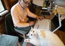 「いわゆる“ネコハラ”の痕跡でしょうか」 江戸時代の公式日記に残されていた猫のいたずらが話題 「いつの時代もにゃんこは最強」
