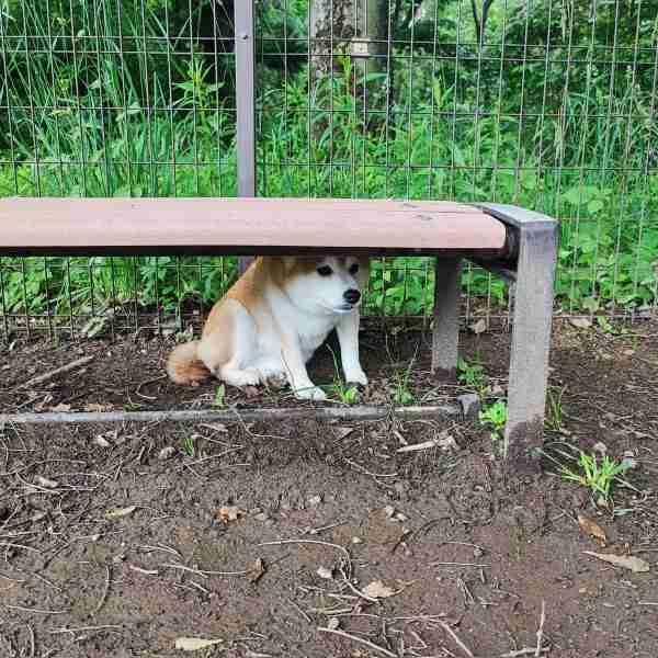 コミュ障が少し改善した方