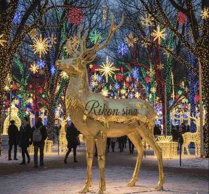 どんな理由で離婚しましたか？