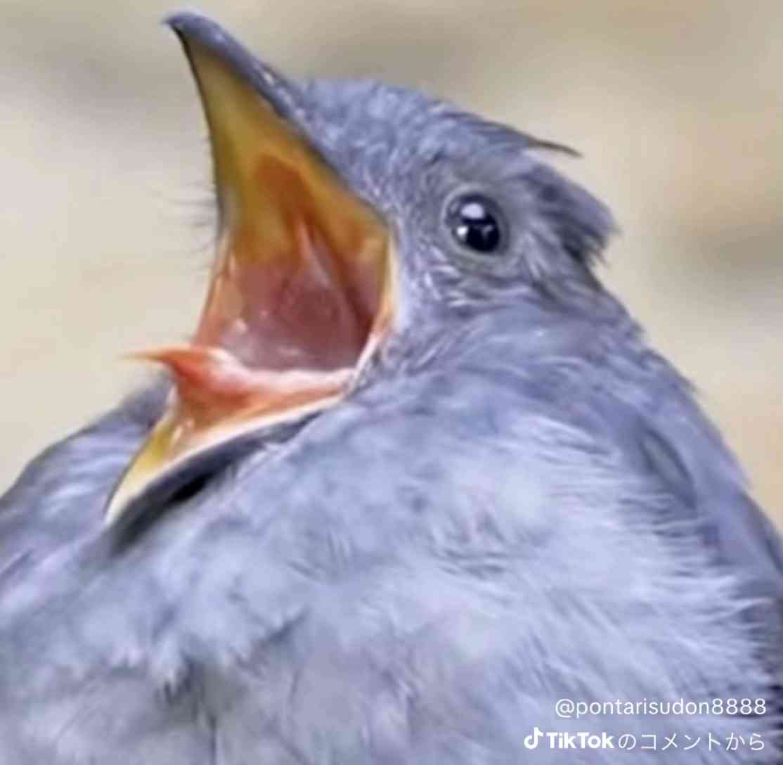 女性ばかりの職場の方!!