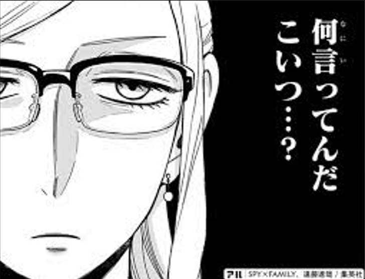 れいわ議員「母親はね、子どもを戦争に行かせるために産んだんじゃないんだよ」「女性初の総理だからって絶対にだまされないで」 高市総理に“10秒回答”迫り、残り5分は“独壇場”