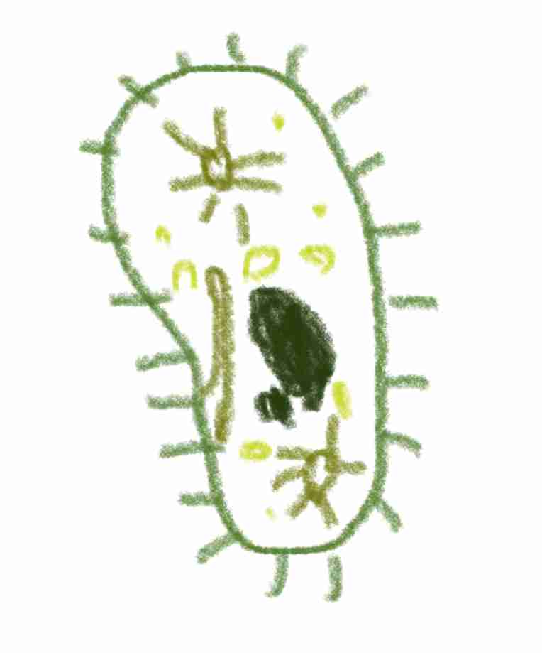 リレーお絵描きしませんか？