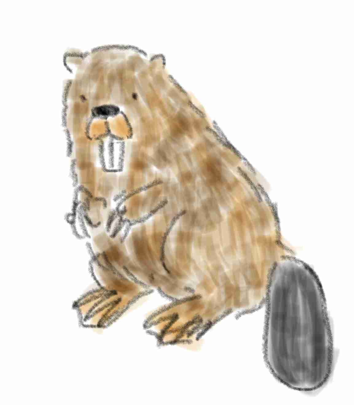 リレーお絵描きしませんか？