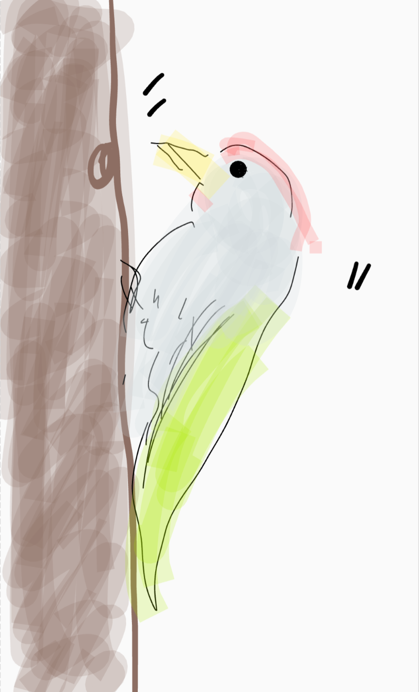 リレーお絵描きしませんか？