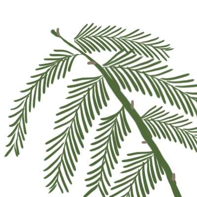 リレーお絵描きしませんか？