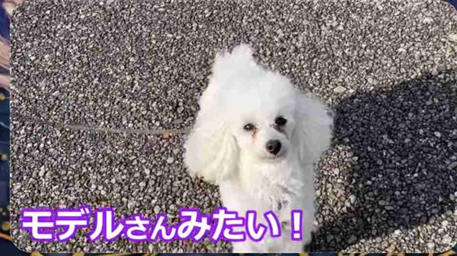 年末年始の美容事情