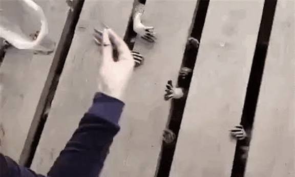 【ネタ】ちょっと怖い話【実体験】