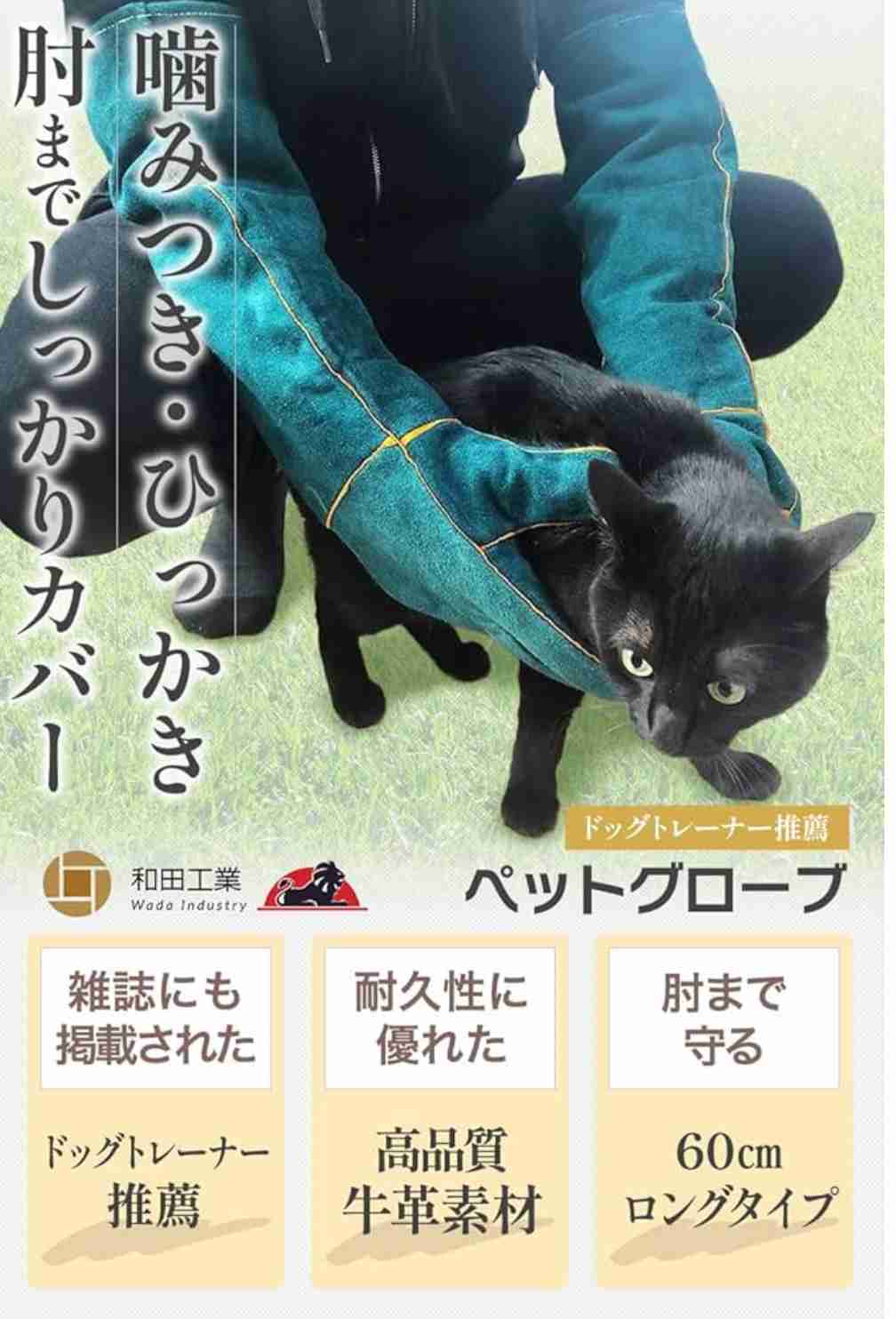 ペットがいる人の災害対策