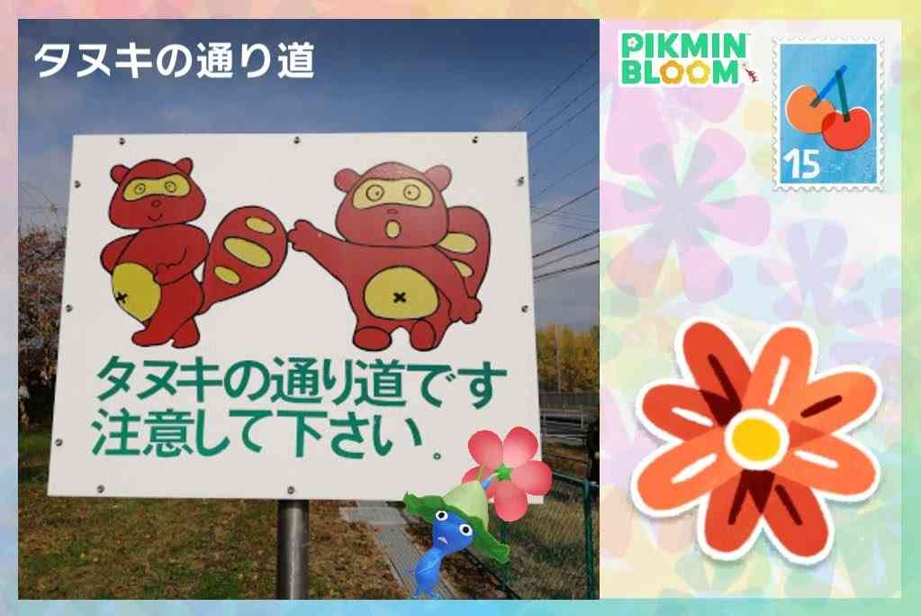 Pikmin Bloom(ピクミンブルーム)ピクミンとおでかけしよう✿Part26✿