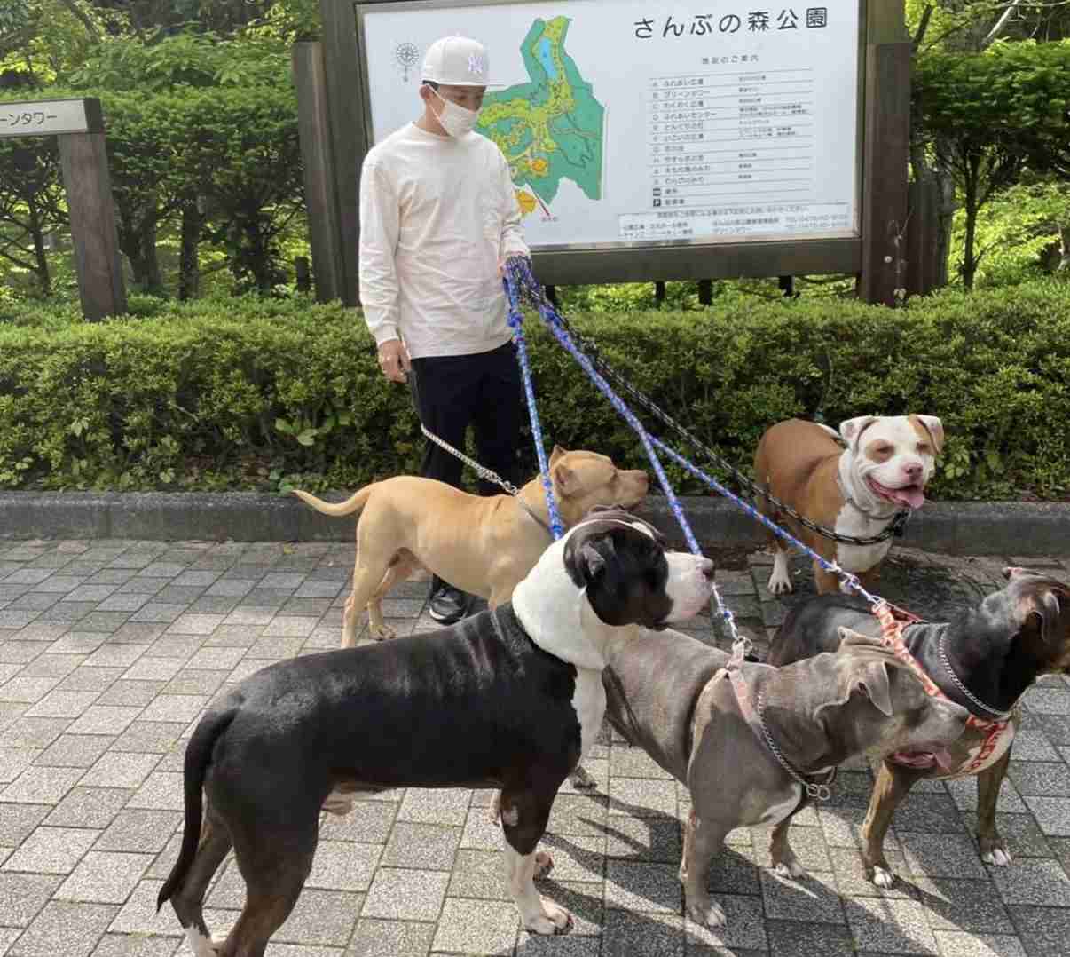 ピットブルが乳児を襲う現場を警官が目撃...犠牲になった祖父と生後3カ月の孫の姿