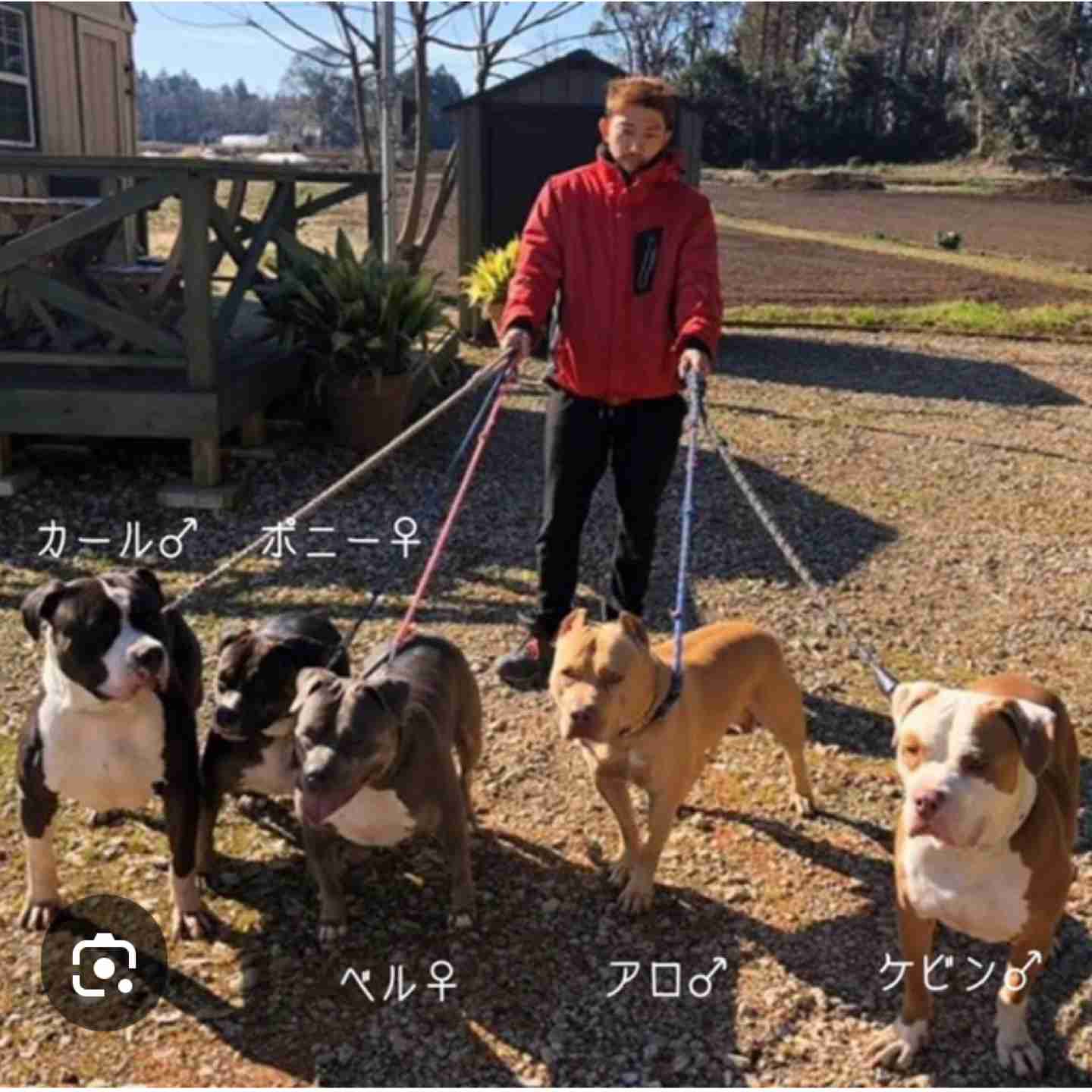 ピットブルが乳児を襲う現場を警官が目撃...犠牲になった祖父と生後3カ月の孫の姿