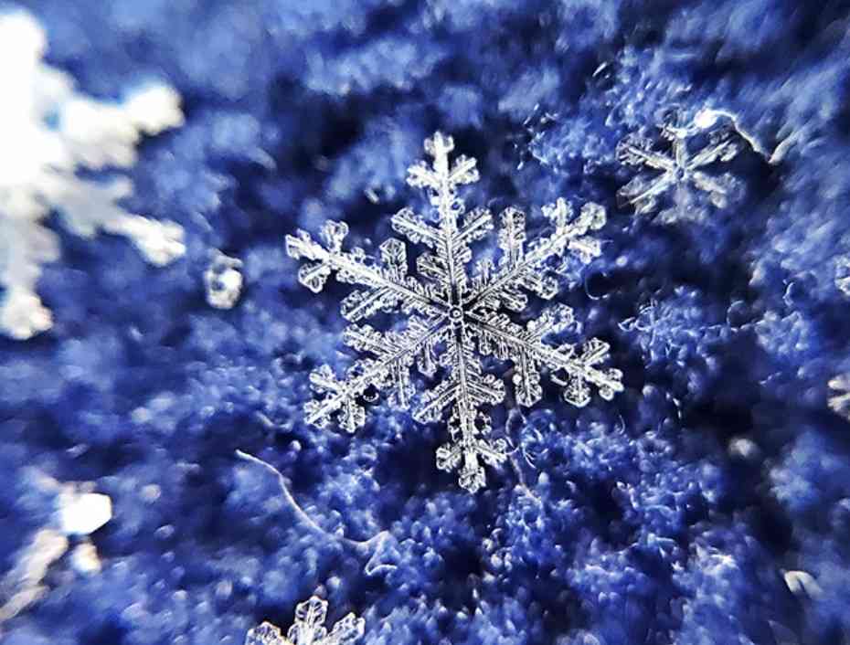 美しすぎて衝撃を受けた画像