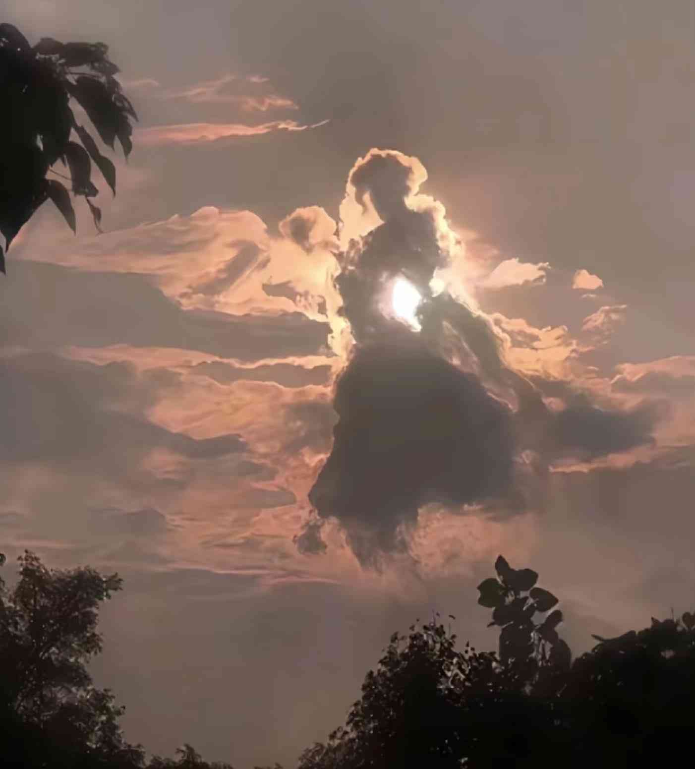 美しすぎて衝撃を受けた画像