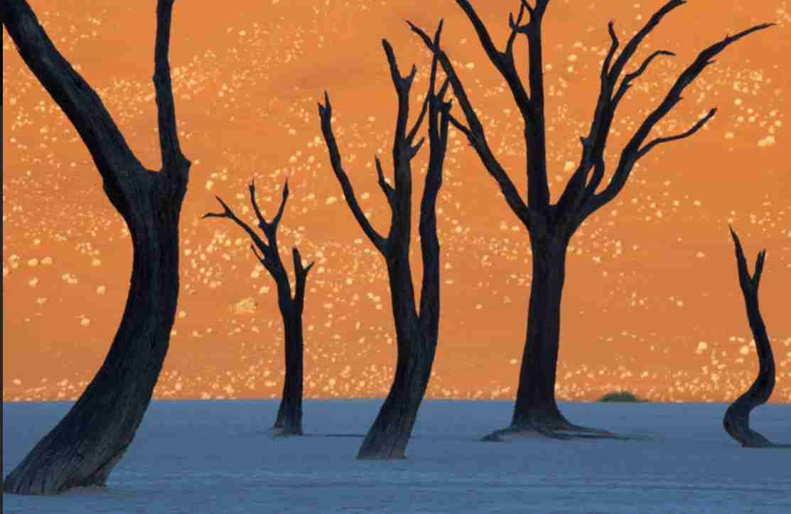 美しすぎて衝撃を受けた画像