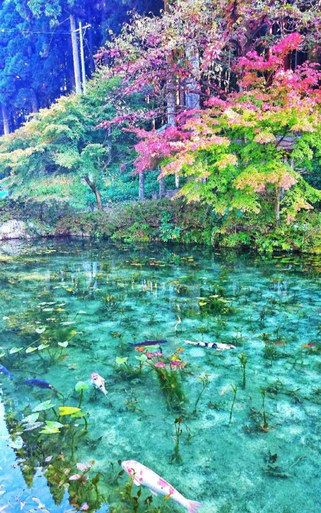 美しすぎて衝撃を受けた画像