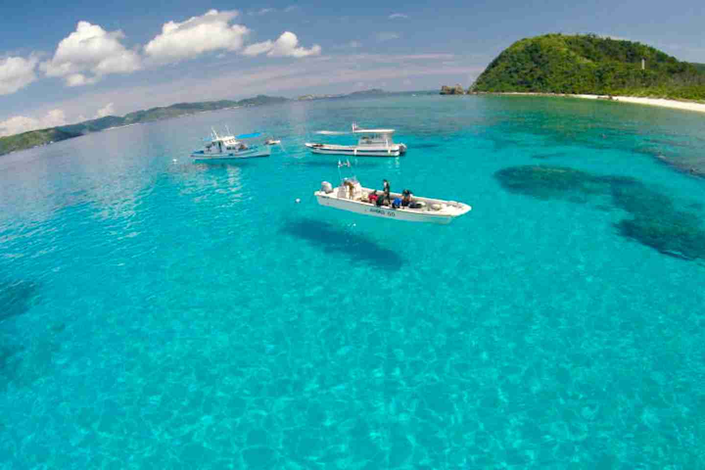 美しすぎて衝撃を受けた画像