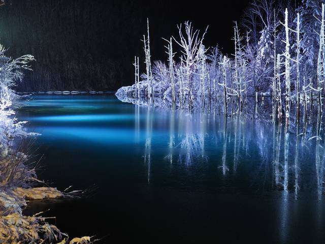 美しすぎて衝撃を受けた画像