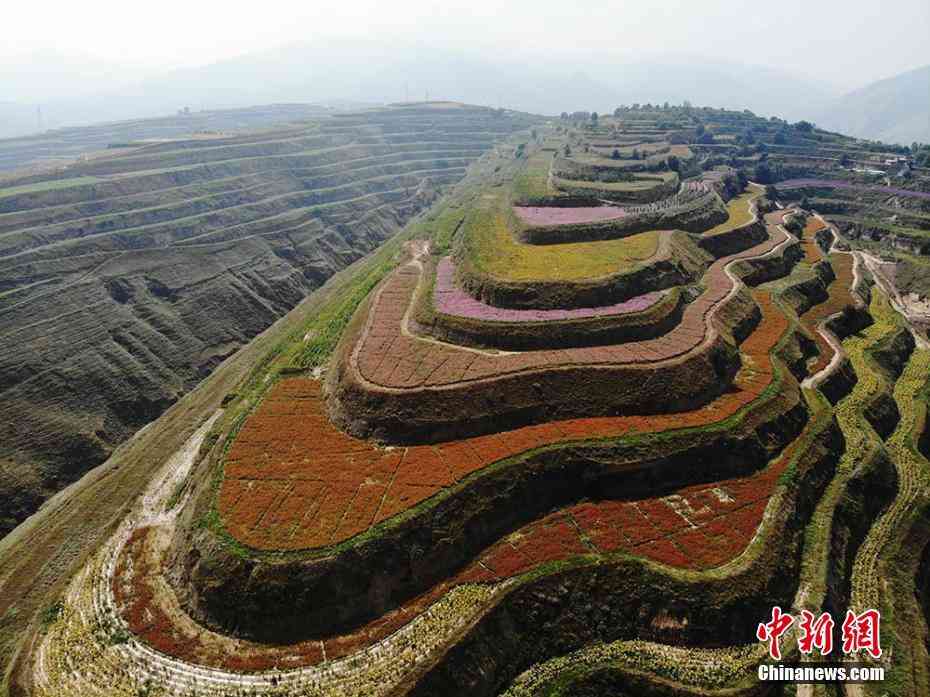 美しすぎて衝撃を受けた画像