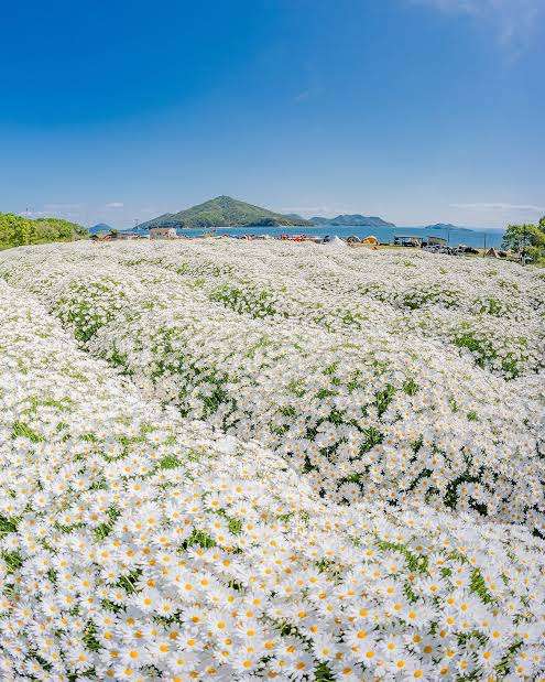 美しすぎて衝撃を受けた画像