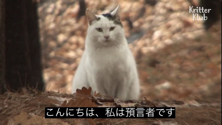 よく分からないけどかっこいい画像を貼るトピ